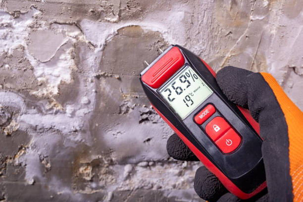 Best Mold Remediation for Specific Building Types in Fairplay, GA