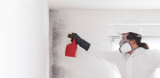 Best Residential Mold Remediation in Fairplay, GA