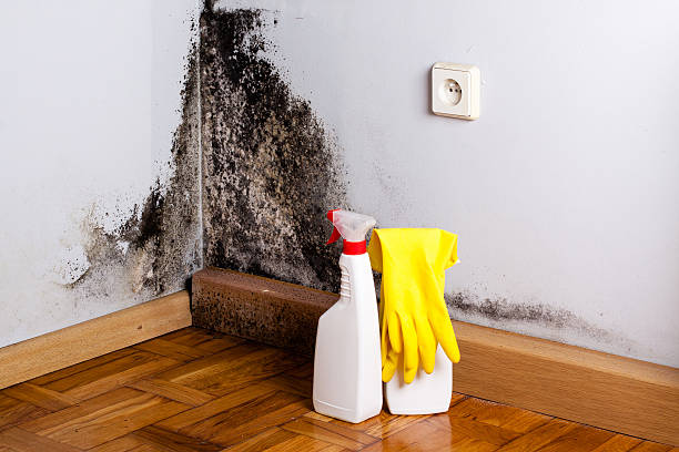Best Industrial Mold Remediation in Fairplay, GA